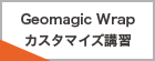 Geomagic Wrap個別講習お申込み